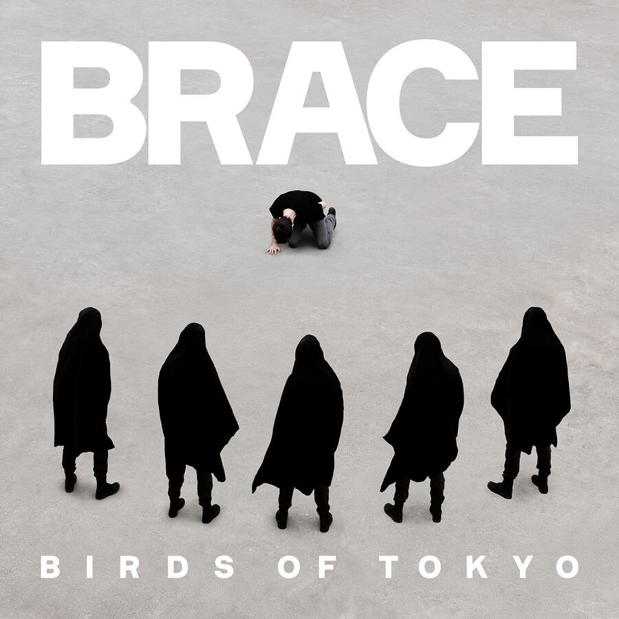 Lewis Mitchell engineering various unreleased songs for Birds of Tokyo as well as Assisting on BRACE